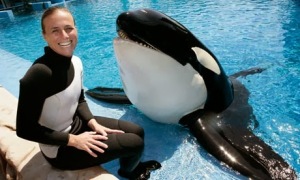Dawn Brancheau, late acclaimed SeaWorld trainer. She was tragically killed in an incident involving Tillicum.